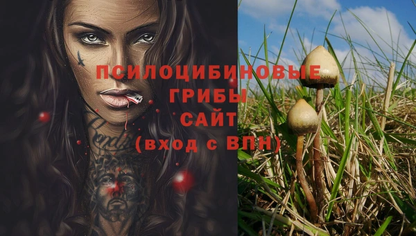 гидропоника Алексин