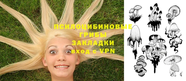 мяу мяу мука Алзамай