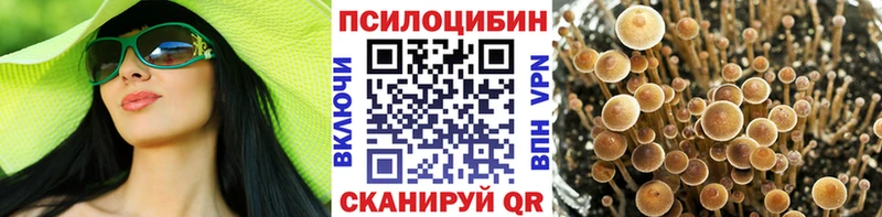 Галлюциногенные грибы Psilocybine cubensis  Люберцы 