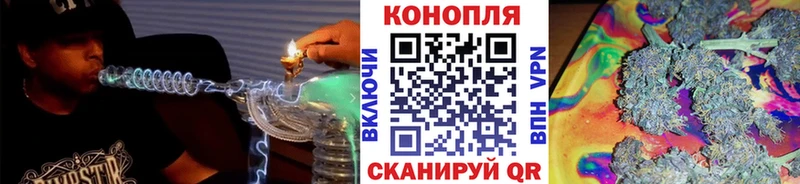 купить  цена  Люберцы  Бошки марихуана OG Kush 